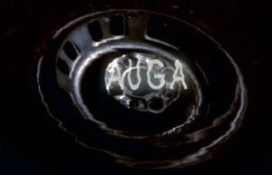 Ficha Auga